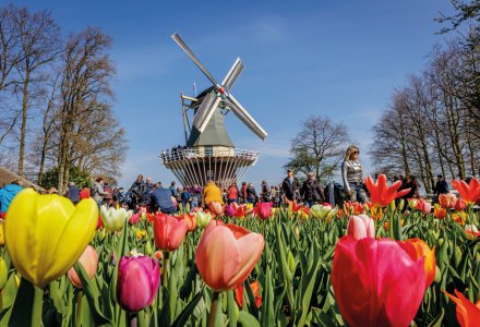  &copy; Keukenhof Holland